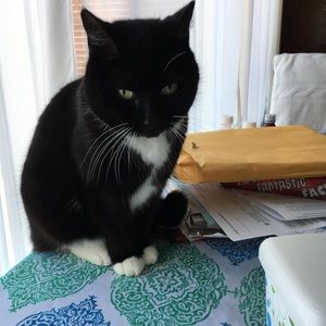 Meet your Posher, Julia